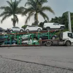 Cegonha para Carros